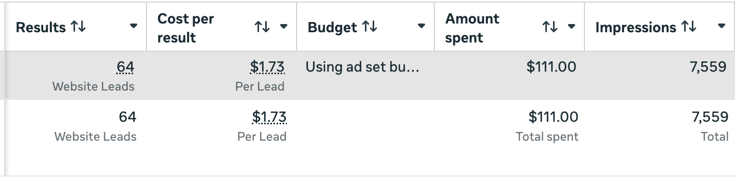 Meta Ads Manager showing 64 website leads at $1.73 per lead from $111.00 spent, with 7,559 impressions